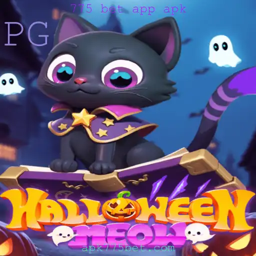 Explorando o Mundo de HalloweenMeow: Um Jogo Encantador